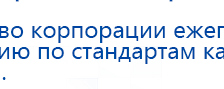 Электроды Скэнар -  двойной овал 55х90 мм купить в Яхроме, Электроды Скэнар купить в Яхроме, Нейродэнс ПКМ официальный сайт - denasdevice.ru