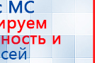 Электроды Скэнар -  двойной овал 55х90 мм купить в Яхроме, Электроды Скэнар купить в Яхроме, Нейродэнс ПКМ официальный сайт - denasdevice.ru